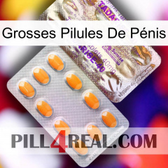 Grosses Pilules De Pénis new12